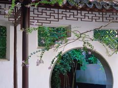 -上海醉白池公园