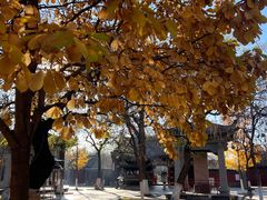 -护国法轮寺
