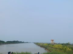 -大湾区中央湿地公园