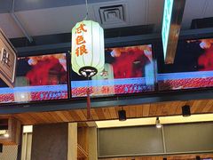 -小杨烤肉(朱雀店)