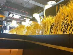 -锅哥有料老火锅(金港国际店)