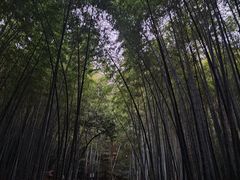 -敬亭山风景名胜区