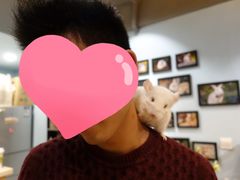 -藦茜花园宠物主题亲子互动体验馆(国顺东路店)