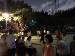 -光明港公园
