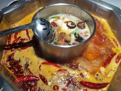 -蜀九香火锅(九眼桥店)