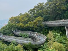 -福道