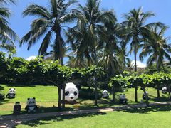 -三亚亚龙湾天域度假酒店