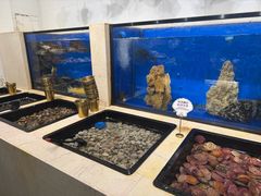 -第六季自助餐厅(北太平庄店)
