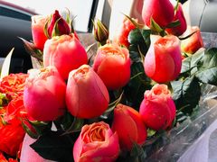 -三圣花乡旅游区