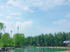 -柳浪游泳场