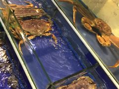 -海鲜城大家餐厅