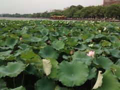 iphone_upload_pic-星巴克(西湖天地店)