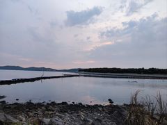 -上海市保健医疗中心