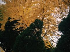 -辽宁大学(崇山校区)