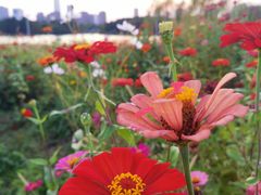 -白塘生态植物园