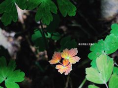 -双龙峡