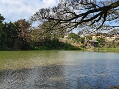 -云水谣景区