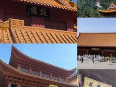 -深圳仙湖植物园
