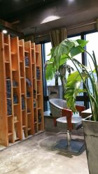 -V-STAR威斯达•高级私人定制