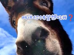 -元鼎宝驴香·全驴宴(江宁店)