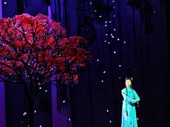 -厦门歌舞剧院