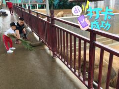 -西霞口神雕山野生动物世界