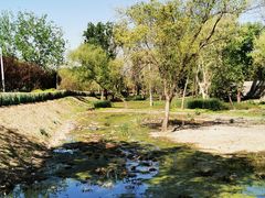 -永定河休闲森林公园