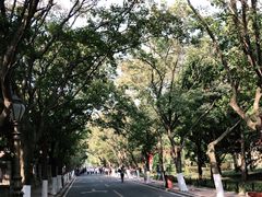-八大关景区