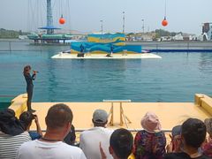 -秦皇岛乐岛海洋王国