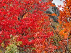 -叠溪松坪沟景区