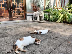 -广州兰圃