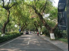 -星巴克(西湖天地店)