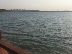 -丁香湖公园