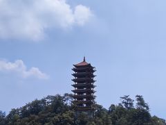 -缙云山景区