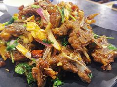 -骨气鼓气羊棒骨·羊蝎子(住总万科广场店)