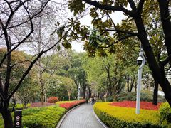 -北外滩滨江绿地