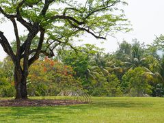 -中国科学院西双版纳热带植物园