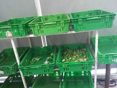 -来噻布布 Lets BUBU