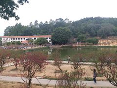 -南国桃园旅游度假区