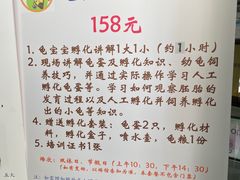 -上海大自然野生昆虫馆(东方明珠·爬宠昆虫探索中心)