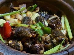 -天宝食坊·啫啫煲大排档(西华路店)