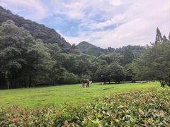 -五泄景区