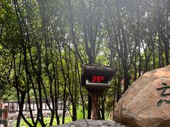 -观唐（国际）度假村温泉