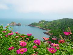 -枸杞岛