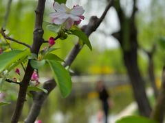 -元大都城垣遗址公园