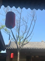 -花家怡园·宴会厅(簋街四合院总店)