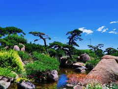 -罗红摄影艺术馆