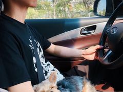 -爱诺耐芙动物医院(万博店)