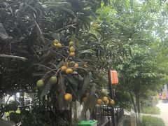 -后海彼岸花园餐厅