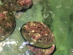-新海利海鲜城·41年珠海老字号(夏湾店)